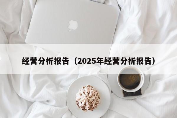 经营分析报告（2025年经营分析报告）